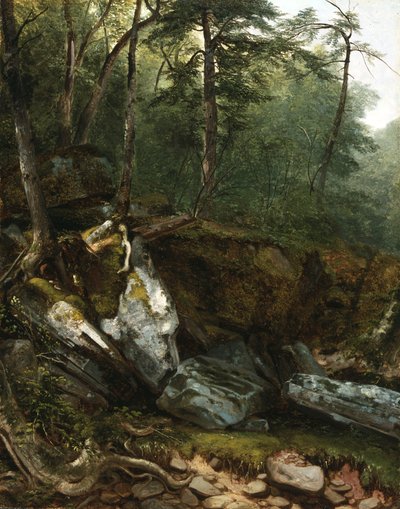 Study from Nature: Rocks and Trees in the Catskills, N.Y. by Asher Brown Durand